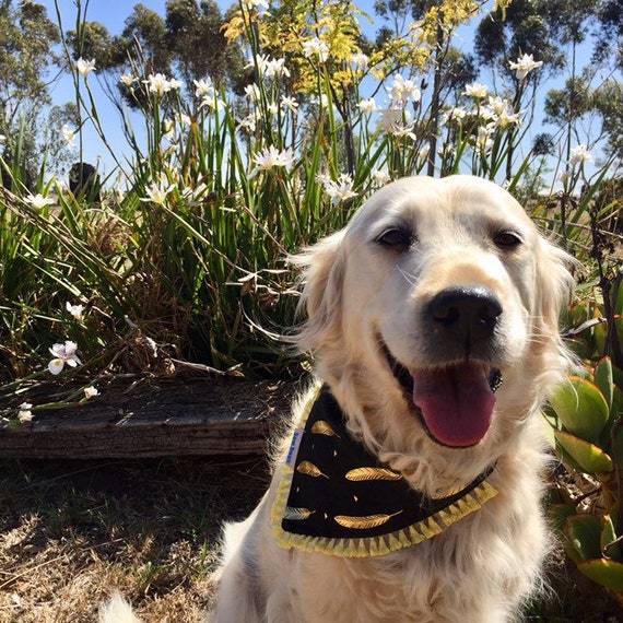 Boho Dog Bandana Stripes Tulip Dog Bandana Spring Dog Bandana Bohemian Dog Bandana Girl Dog Bandana Tie On Pet Scarf