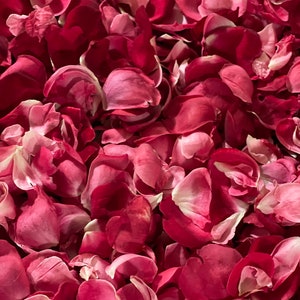 May include: A close-up image of a pile of dried rose petals. The petals are a deep pink color and have a soft, velvety texture.