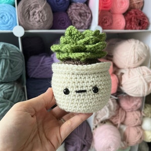 以下が含まれることがあります： かわいい顔をした白い鉢植えの編みぐるみ多肉植物。鉢は黒い目と口で飾られています。多肉植物は緑色で、中心は茶色です。植物は他の毛糸玉と一緒に棚の上に置かれています。