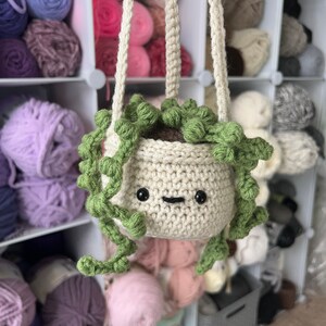 May include: A crocheted hanging planter with a green plant and a cute face. The planter is hanging from a white shelf with balls of yarn in the background.