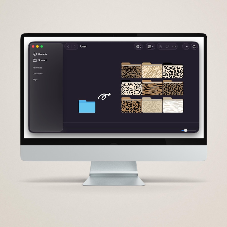 Animal Print Desktop Folder Icons, Desktop Organizer Set for Mac ...