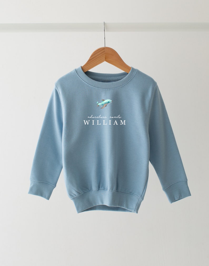Personalised Holiday sweatshirt - Airport Outfit- First Time flyer - Aeroplane sweatshirt - Pale blue and white bild 3