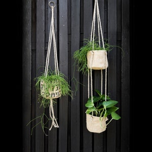 Może przedstawiać: Dwa wiszące doniczki z naturalnego włókna z zielonymi roślinami w środku. Doniczki wiszą na ciemnej drewnianej ścianie.
