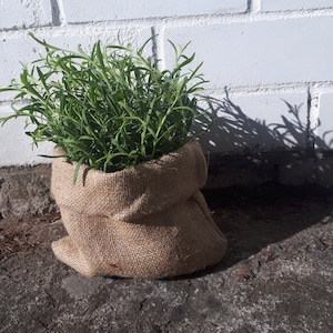 Plant Jute Bag Etsy