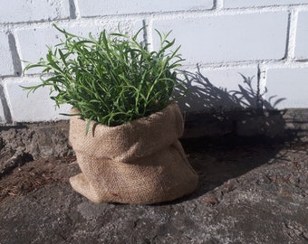 Ensemble de 5 sacs multifonctionnels en jute biologique, Sac de culture pour légumes et fleurs, Cache cache-pot Récipient de jardin en sac de café recyclé