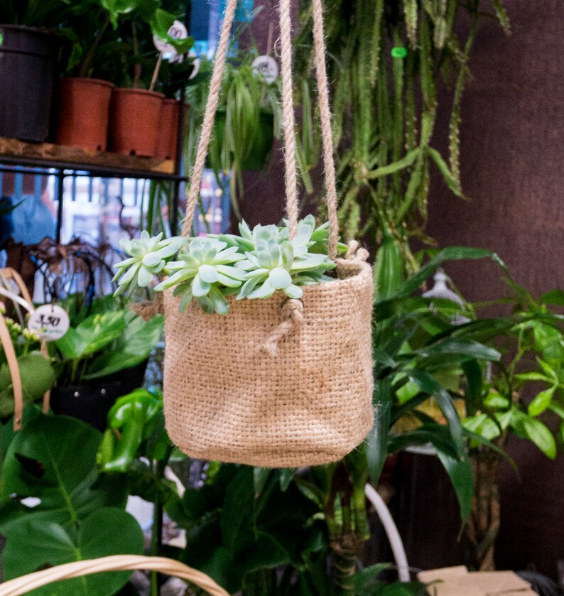 Jute Hanging Plant Basket Burlap Plant Pot Cover Made of Etsy