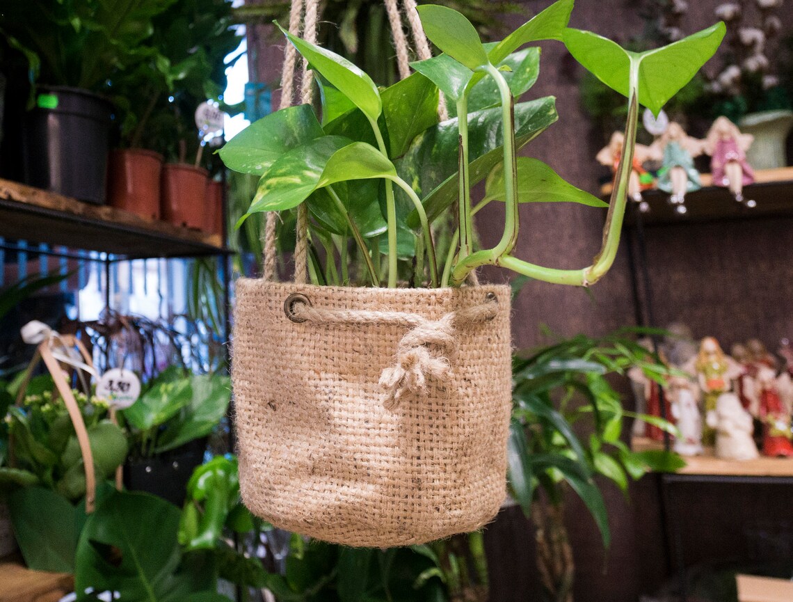 Custom hanging burlap plant pot cover Wall hanging planters Etsy