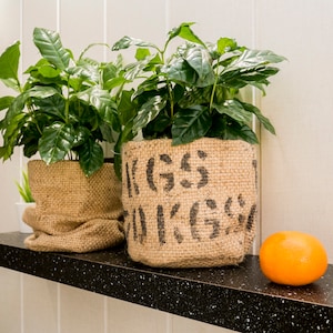 Ensemble TOP cache-pot en toile de jute Hygge, paniers en sacs de jute à café, décoration d'intérieur rustique et élégante