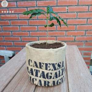 Cache-pot personnalisé de vos dimensions Cache-pot en toile de jute écologique faite de sac de café. Décoration d'intérieur rustique et élégante image 8