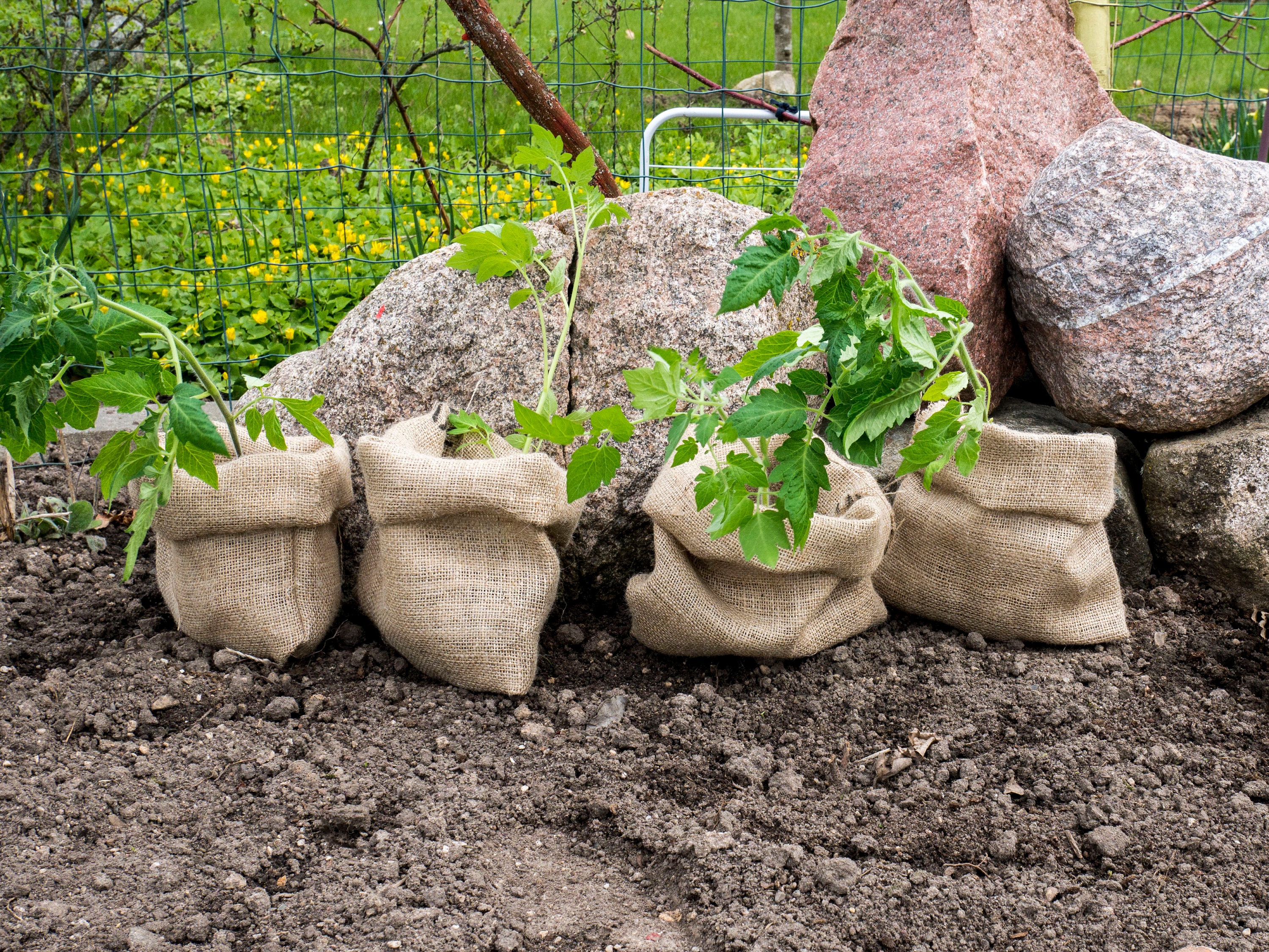 Giant Burlap Sack Burlap Reusable Sacks For Potatoes Strong Race