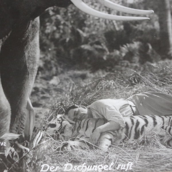 Elephant and Tiger. Old cinema.  Original film advertising photo, Der Dschungel ruft, German cinema, film history.