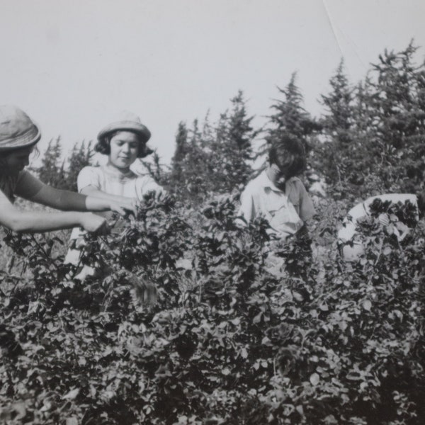 Original photo, Jewish Orphans from Poland, Working in a Garden in Kibbutz in Israel 1949