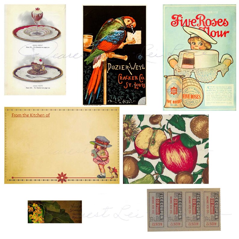 Puede incluir: Un collage vintage de im&aacute;genes con un loro, una ni&ntilde;a que sostiene un libro, un taz&oacute;n de helado, una caja de galletas, una bolsa de harina y un patr&oacute;n de frutas. El texto "From the Kitchen of" est&aacute; en la parte superior de una de las im&aacute;genes.