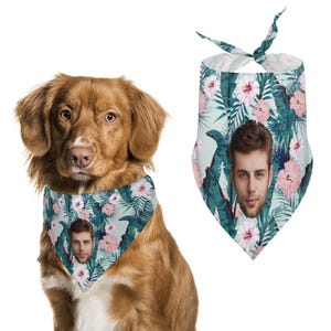 May include: A brown dog wearing a blue, green, and pink bandana with a tropical print and a man's face in the center. The bandana has a matching design to the one shown separately.
