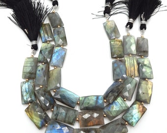 10 Faceted Labradorite Rectangle Beads: Rainbow Briolette Gemstone