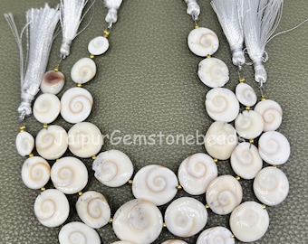 8 "Shiva Auge Edelstein Perlen: Natürliche glatte Münze Schmuck machen