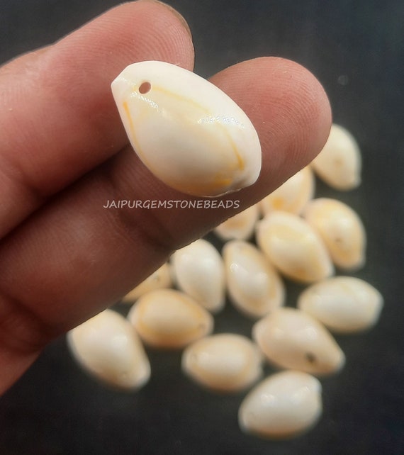Craftdady 50 Perline Conchiglia Ciprea Metallizzate Dorate - 10-20 Mm - Per Gioielli Fai Da Te, Bracciali, Orecchini, Decorazione Casa
