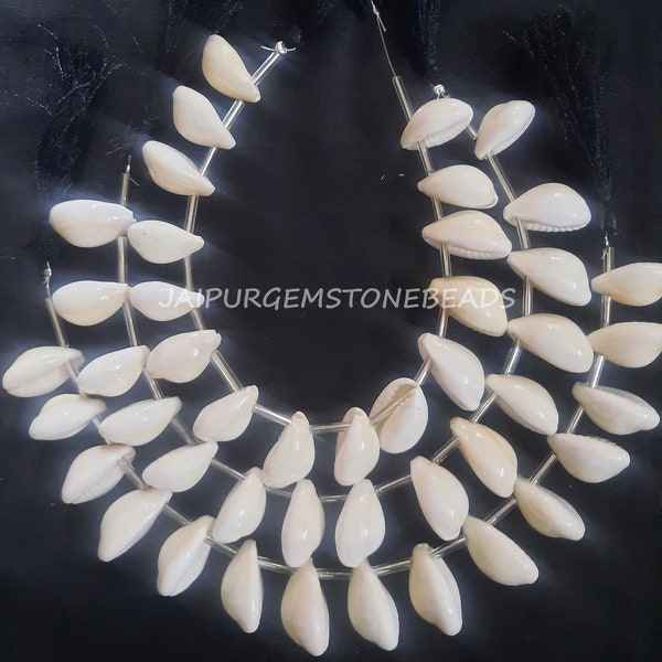 8" Natural Yellow White KAURI Cowrie Cowry Peeli Kodi Kaudi Gavvalu Kauri Sacred Shankh Yantra/Sidh Jewelry Making Crafts