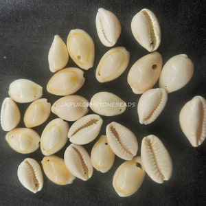 May include: A collection of white cowrie shells with a yellow stripe. The shells are smooth and have a natural shine.  JAIPURGEMSTONEBEADS is printed on the image.