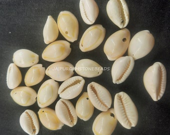 Smooth Cowrie Shell Beads: Yellow White Monetaria Monta for Jewelry Making