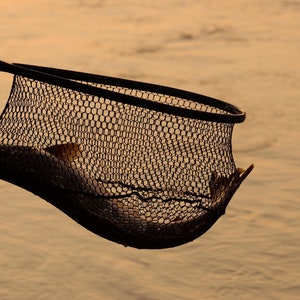 Sunset Catch