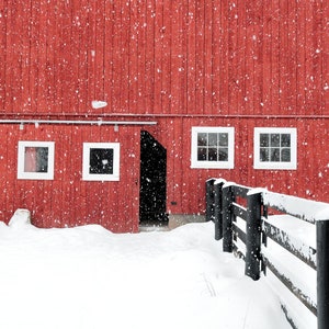 Snowy Fence