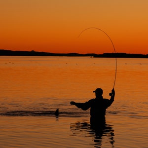 Fly Fishing at Sunset