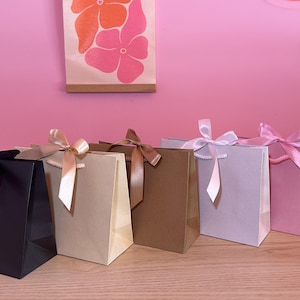 Plain Recycled Gift Bag with Ribbon Tie & Rope Handles