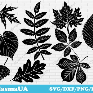 Conjunto de 9 folhas de outono Svg Dxf Png arquivos de corte para projetos Cricut, padrões de folhas cortadas a laser, design de sublimação, designs de silhueta
