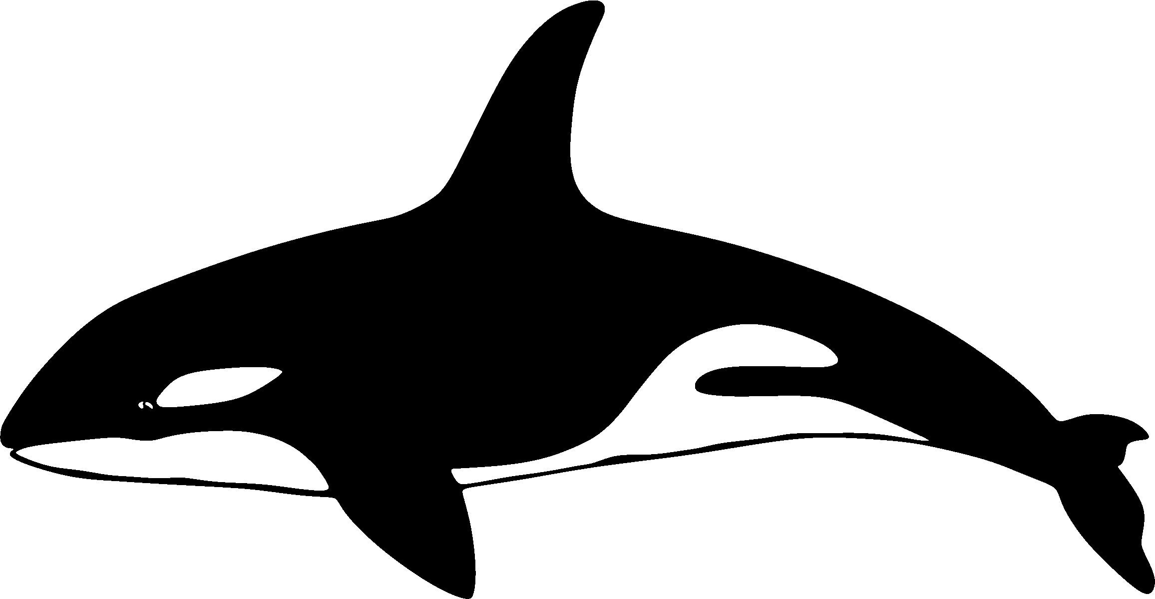 Free Free 102 Laser Shark Svg SVG PNG EPS DXF File