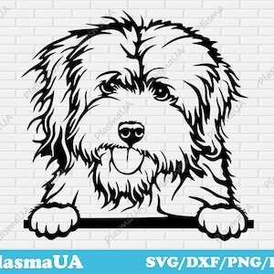 Coton de Tulear svg, peeking dog svg, dog face svg, cute pet svg, pet cut files, cutout files, svg for crafttables, custom svg files