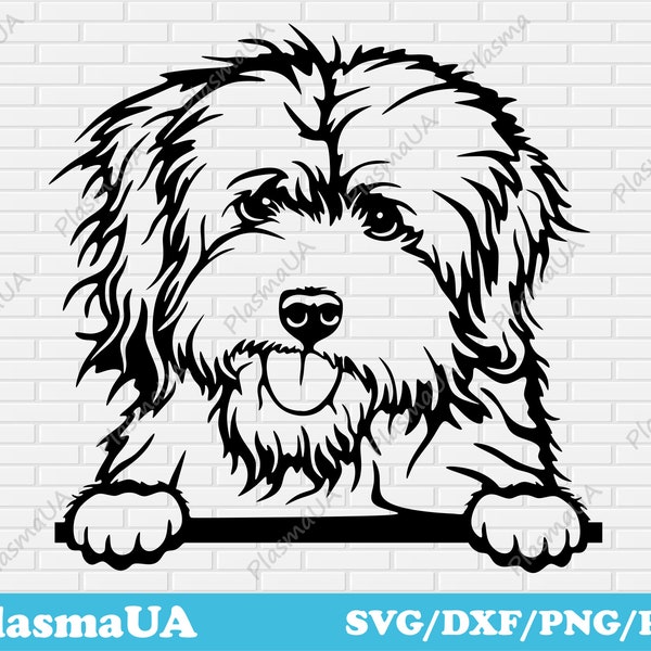 Coton de Tulear svg, peeking dog svg, dog face svg, cute pet svg, pet cut files, cutout files, svg for crafttables, custom svg files