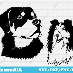 Dog svg, dog clipart, Collie dog, dog svg designs, dog png, files for cricut, files for silhouette, dog cut files, dog silhouette, dog mom