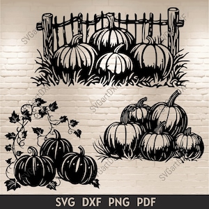 May include: Black and white silhouette of pumpkins in two different arrangements. The first arrangement shows five pumpkins in front of a picket fence. The second arrangement shows five pumpkins with vines.