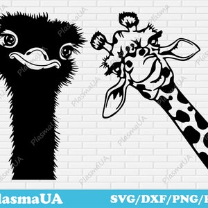 面白い動物、キリンのクリップアート、ダチョウの svg、T シャツの svg、シルエットのファイル、動物のクリップアート、動物のアート、svg cricut、レーザーカットの svg
