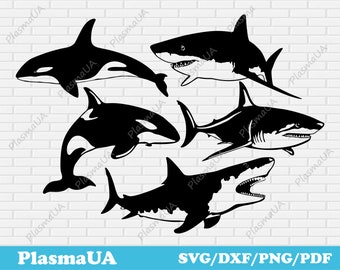 Shark svg dxf files, dxf shark, svg shark, svg file killer whale, metal art svg files for cricut shark clipart sea animals clipart png shark