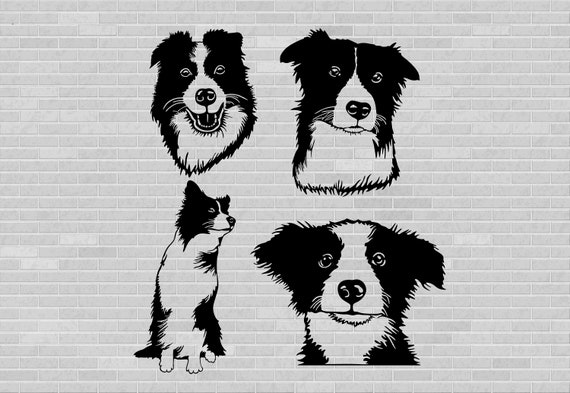 Download Border Collie Svg Dog Svg Dxf Dog Dxf Files For Laser Svg Etsy