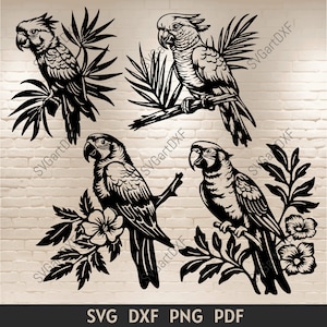 Fichiers Svg perroquets pour Cricut, dxf perroquet pour CNC découpé au Laser, clipart perroquet, Silhouette oiseaux coupé fichiers, vecteur de perroquet pour Machines de découpe