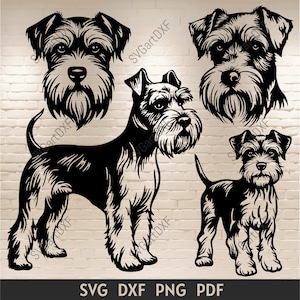 Miniatyrschnauzer Svg, Schnauzer hund svg klippfiler för Cricut, Hund dxf klippfiler för laser, Silhuetter dxf hundar, Hundar clipart, Hund Png