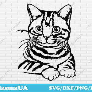 Katze SVG Download, Katze SVG Cut Dateien für Cricut, Haustier svg Bild, Haustiere dxf Dateien, png Katze für T-Shirt, dxf für CNC-Plasma, Tier dxf Dateien