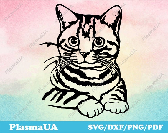 Cat Svg Download Cat Svg Cut Files for Cricut Pet Svg Image | Etsy Canada