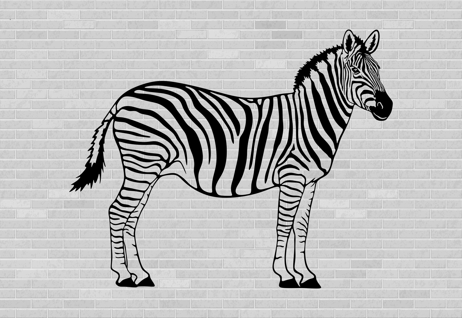 Zebra cut file zebra png zebra for cricut laser cutting Etsy