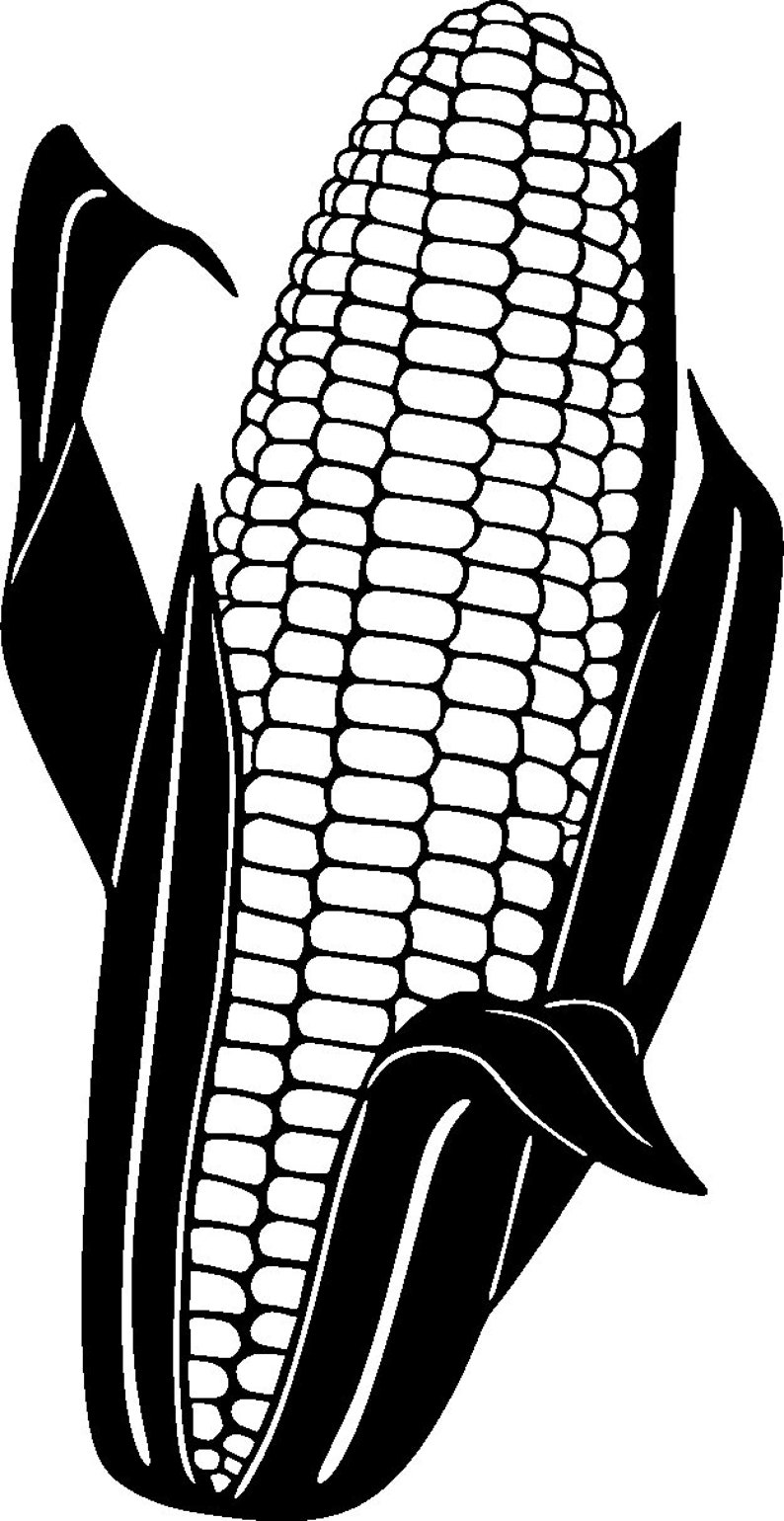 Free Free Fruit And Vegetable Svg Files 720 SVG PNG EPS DXF File