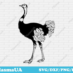 Autruche png, clipart svg, animal de ferme svg, fichier de découpe svg, silhouette svg, animal dxf, fichier de coupe d’oiseau, cricut svg, dxf pour laser, fichier png