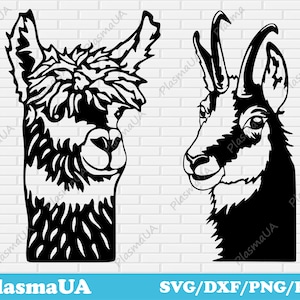 Schattige dieren svg, Schattige Lama svg gesneden vijl, Schattige Geit gesneden vijl, grappige svg, gesneden vijlen svg, cricut svg, commercieel gebruik svg, verjaardagsfeestje svg