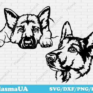 German Shepherd dogs vector images, digital pet portraits, silhouette dogs, pet portraits svg,  custom Pet Portrait, svg for cricut