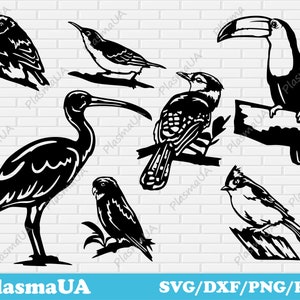 Oiseaux svg fichiers de coupe pour cricut, oiseaux dxf pour découpe laser, geai bleu, toucan, mésange reposée, merle bleu, perroquet, silhouette d’oiseaux, dessins de chemises