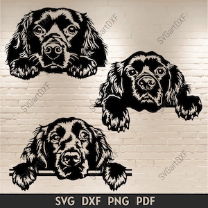 May include: Three black and white silhouette images of a dog peeking over a surface. The dog has long floppy ears and a long snout. The dog is looking directly at the viewer.