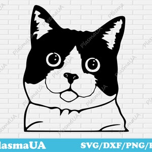 Katzen svg, Katzen Clipart, Katzen svg, lustige Katze Svg, süße Katze, Katze Silhouette, Katze png, Katze dxf, Katzen Silhouette svg, Katzen Vektor, Katze Mama, pdf