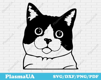 Cat svg, cat clipart, cat cut file, funny cat svg, cute cat, cat silhouette, cat png, cat dxf, cat silhouette svg, cat vector, cat mom, pdf